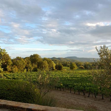 Maison Bijoux-De-Provence "Lavande" Puyméras Exteriér fotografie